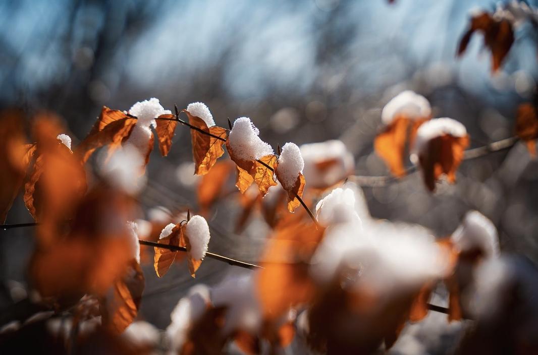 Titelfoto für diesen Kanal